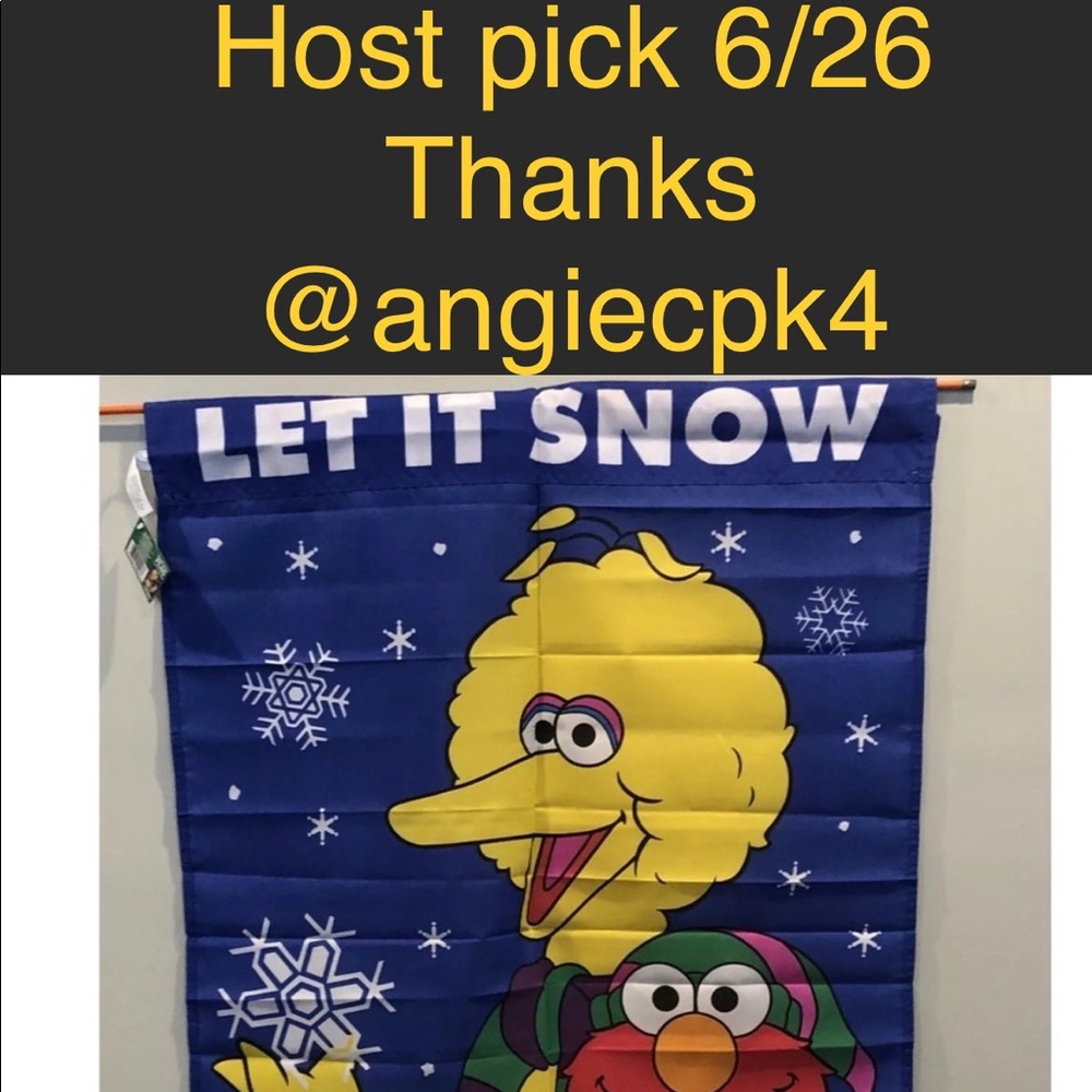 NWT Let it Snow Big Bird & Elmo decorative flag